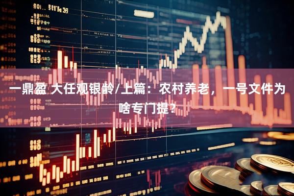 一鼎盈 大任观银龄/上篇：农村养老，一号文件为啥专门提？