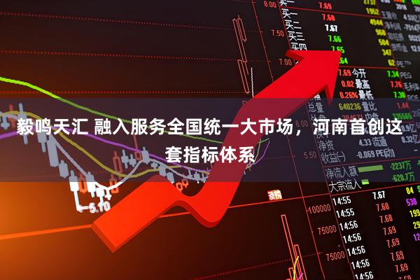 毅鸣天汇 融入服务全国统一大市场，河南首创这套指标体系
