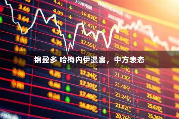 锦盈多 哈梅内伊遇害，中方表态