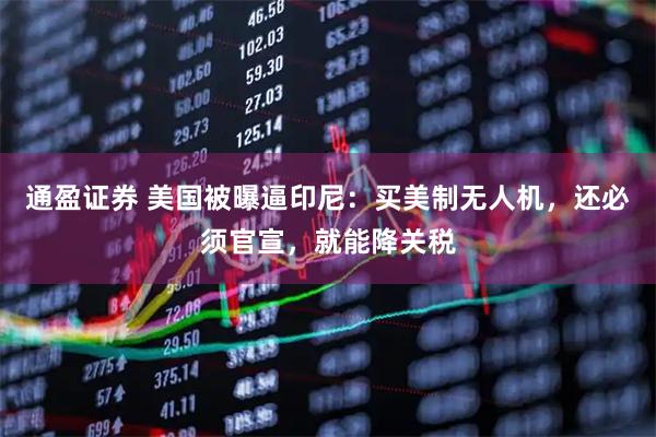 通盈证券 美国被曝逼印尼：买美制无人机，还必须官宣，就能降关税