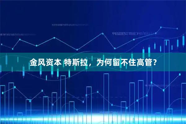 金风资本 特斯拉，为何留不住高管？