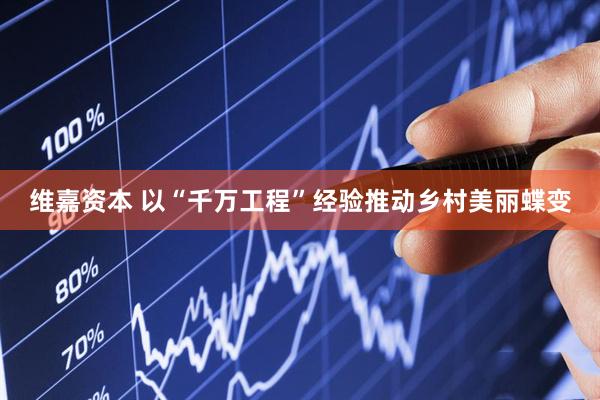 维嘉资本 以“千万工程”经验推动乡村美丽蝶变