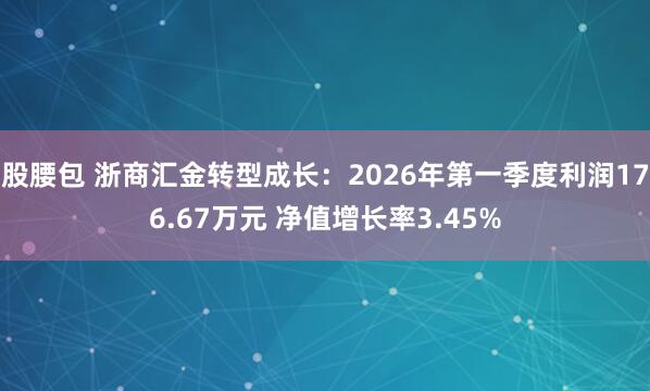 股腰包 浙商汇金转型成长：2026年第一季度利润176.67万元 净值增长率3.45%