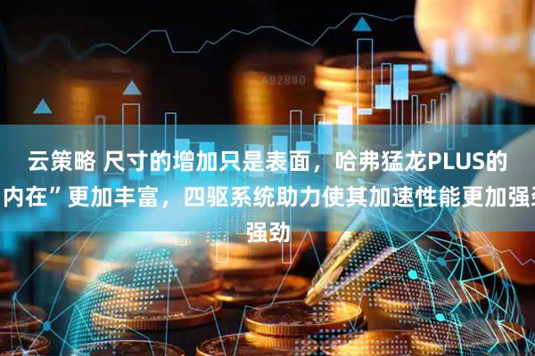 云策略 尺寸的增加只是表面，哈弗猛龙PLUS的“内在”更加丰富，四驱系统助力使其加速性能更加强劲