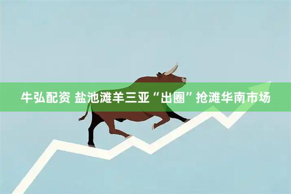 牛弘配资 盐池滩羊三亚“出圈”抢滩华南市场