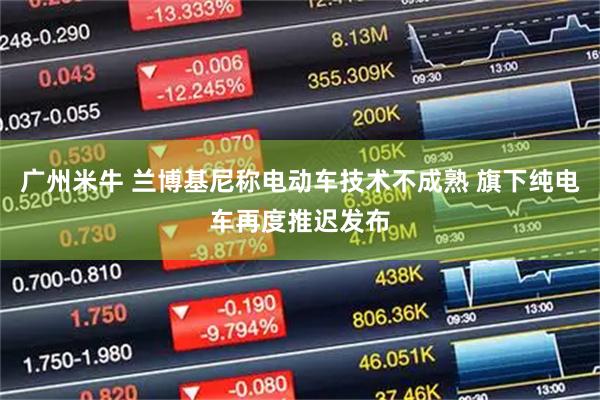广州米牛 兰博基尼称电动车技术不成熟 旗下纯电车再度推迟发布